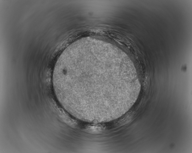 X0000114560466200911301252