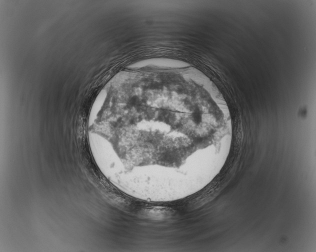 X0000114560467200911301252