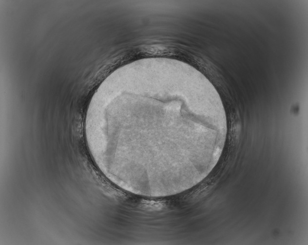 X0000114560469200911301253