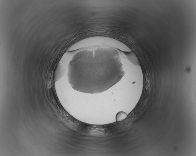 X0000114560471200911301253