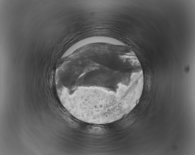 X0000114560475200911301253