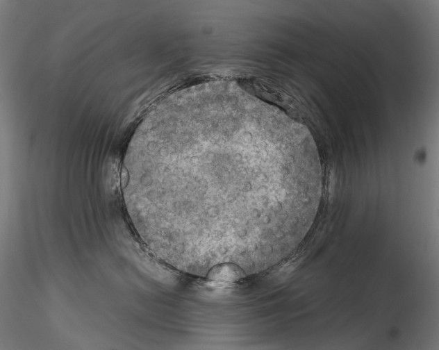 X0000114560478200911301253