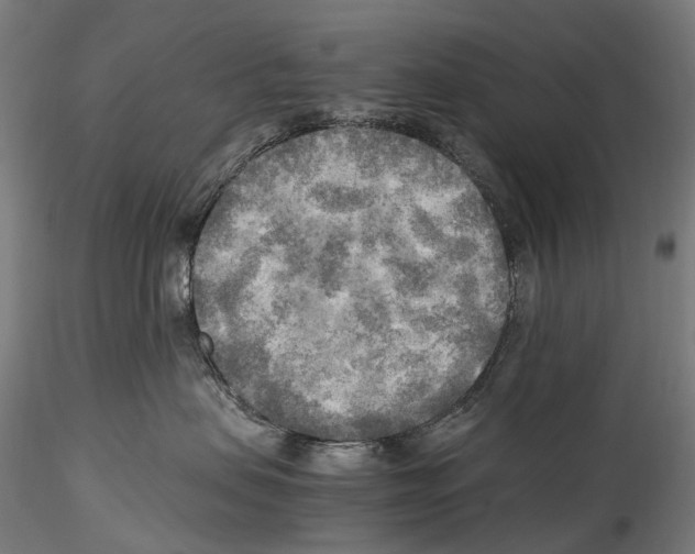 X0000114560479200911301253