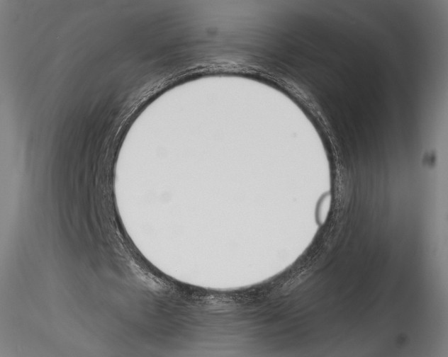 X0000114560481200911301252