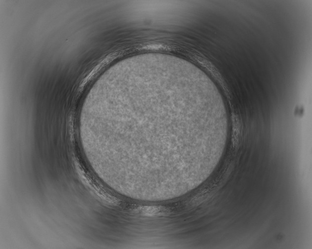 X0000114560482200911301252