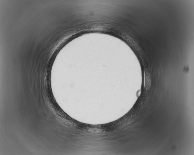 X0000114560483200911301252