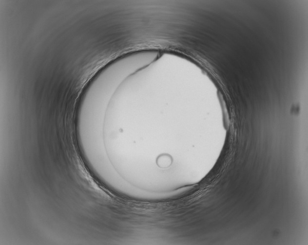 X0000114560485200911301252