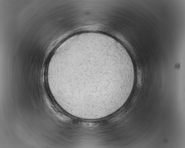 X0000114560486200911301252