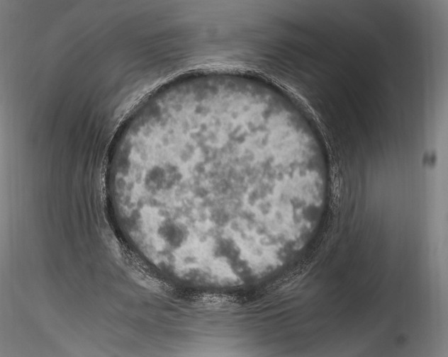 X0000114560487200911301252