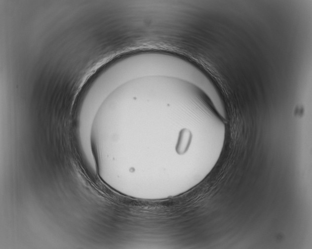 X0000114560488200911301252