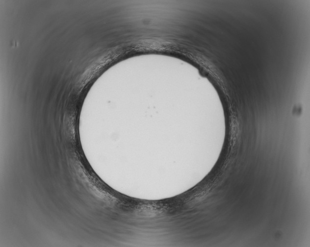 X0000114560489200911301252