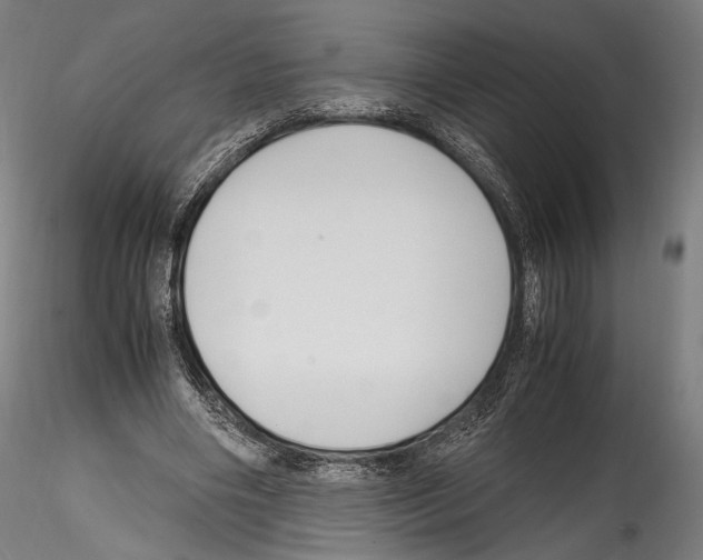 X0000114560490200911301252