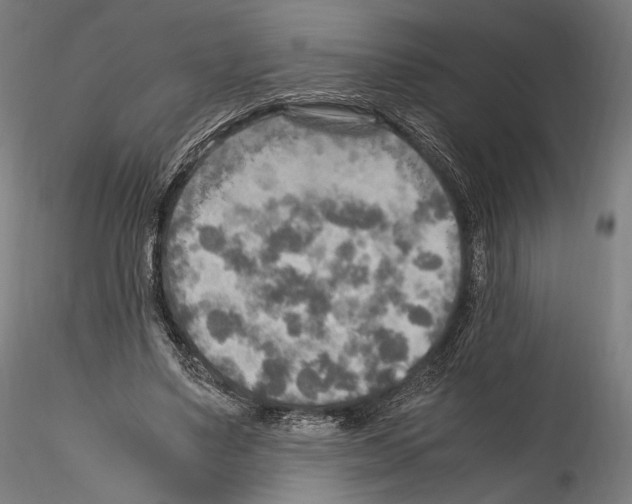 X0000114560491200911301252