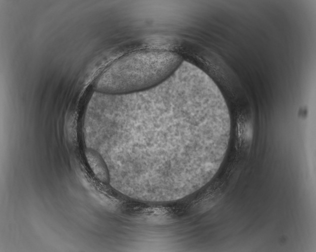 X0000114560492200911301252