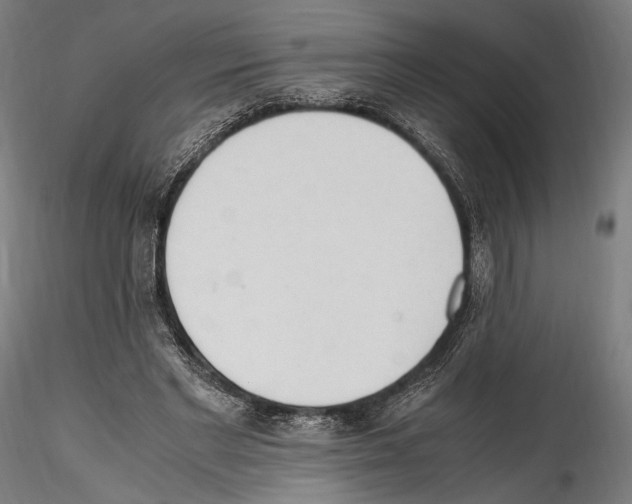 X0000114560493200911301252