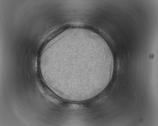 X0000114560494200911301252