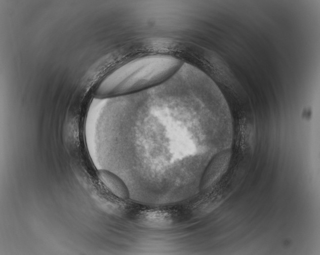 X0000114560500200911301252