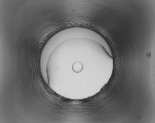 X0000114560501200911301252