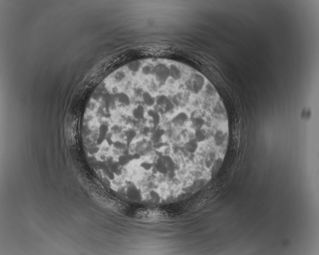 X0000114560503200911301252