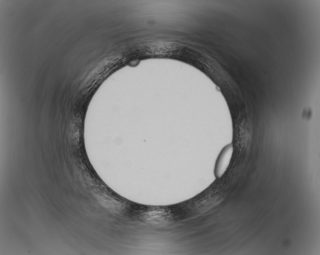 X0000114560505200911301252