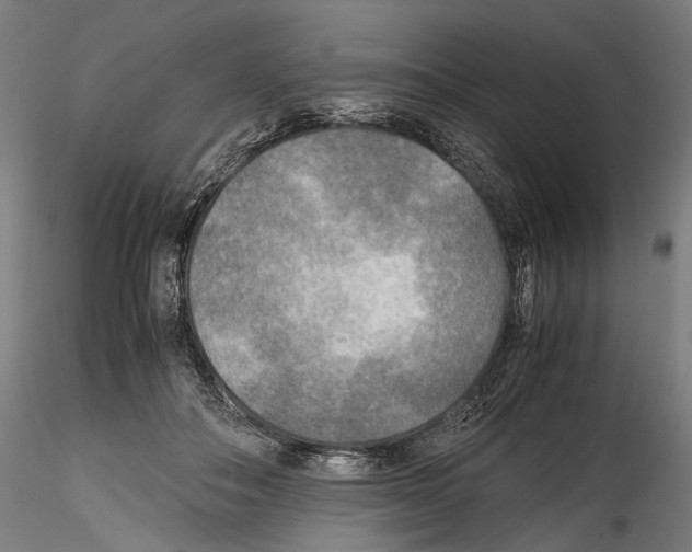 X0000114560506200911301252