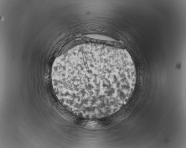 X0000114560507200911301252
