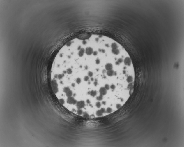 X0000114560508200911301252