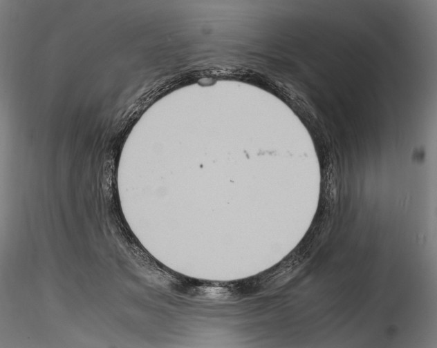 X0000114560509200911301252
