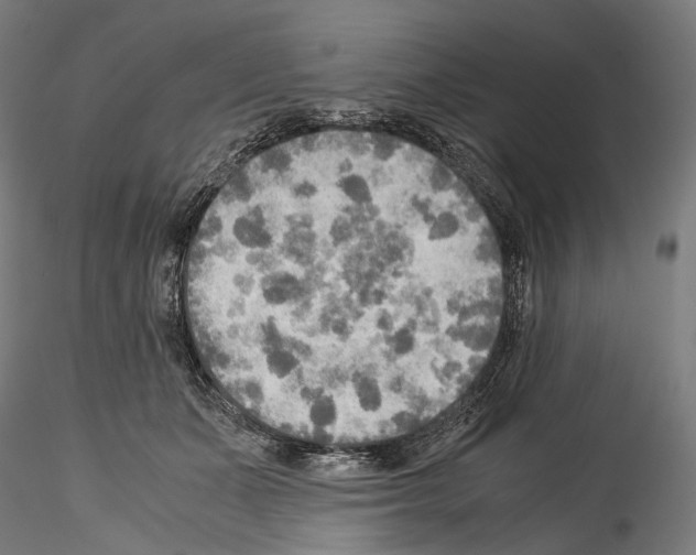 X0000114560511200911301252