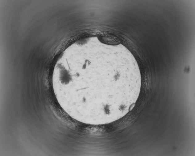 X0000114560512200911301252