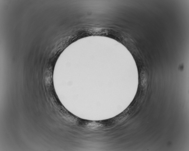 X0000114560515200911301252