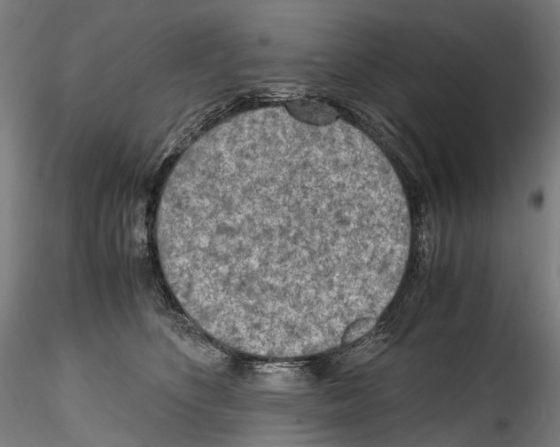 X0000114560516200911301252