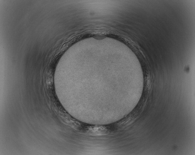 X0000114560517200911301252