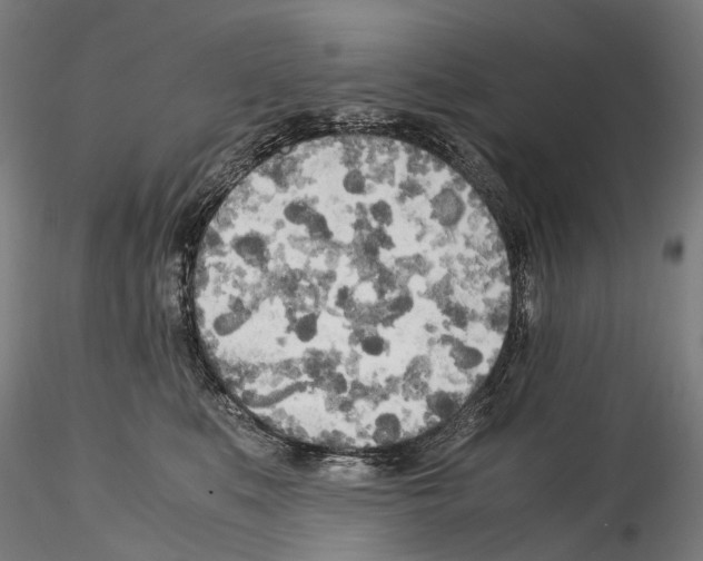 X0000114560519200911301251
