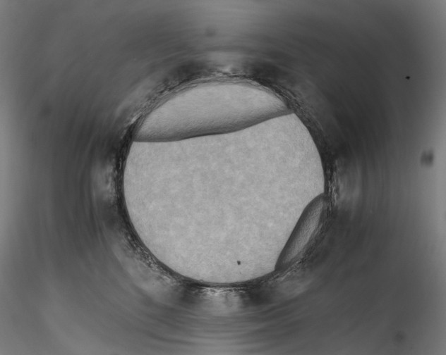 X0000114560520200911301251