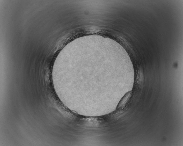 X0000114560524200911301251