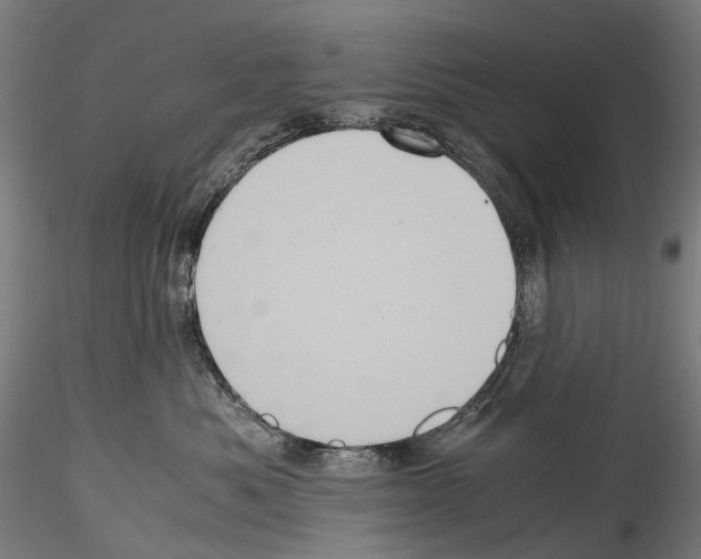 X0000114560525200911301251