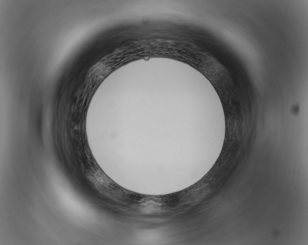 X0000114560526200911301251