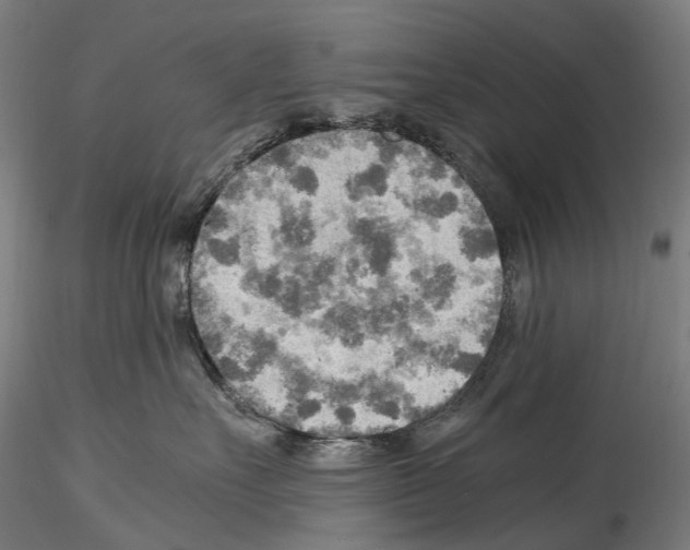 X0000114560527200911301251
