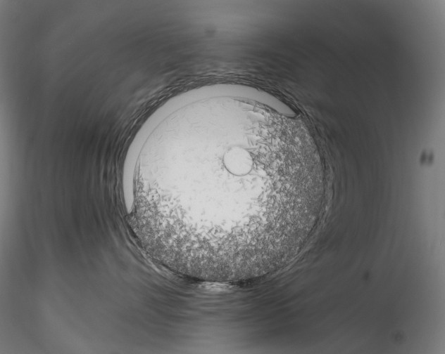 X0000114560528200911301251