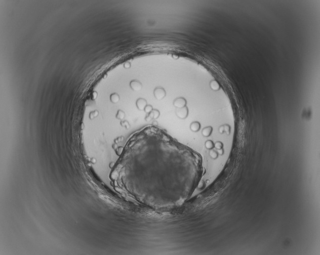 X0000114560529200911301251