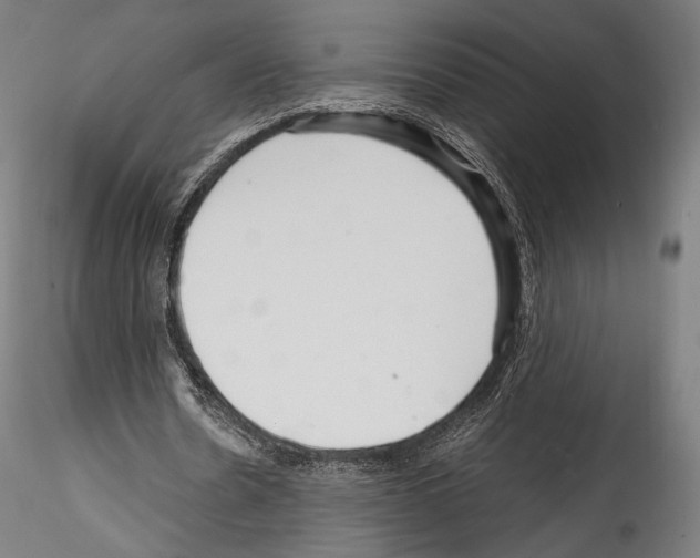 X0000114560530200911301251