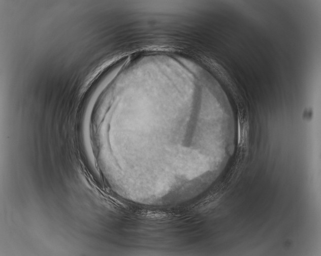 X0000114560531200911301251