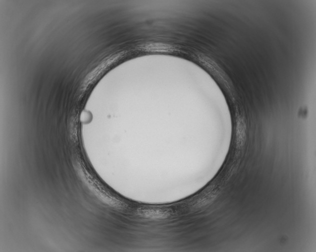 X0000114560533200911301251