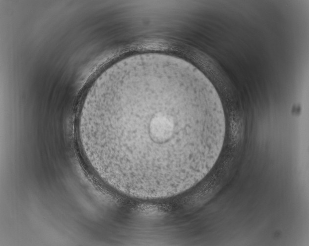 X0000114560534200911301251