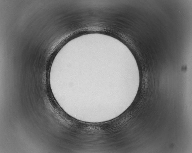 X0000114560535200911301251