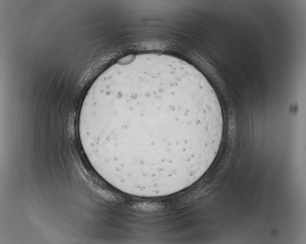 X0000114560537200911301251