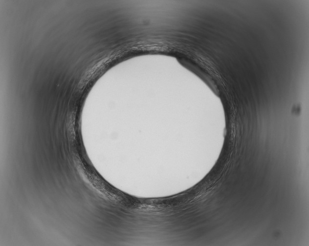 X0000114560538200911301251