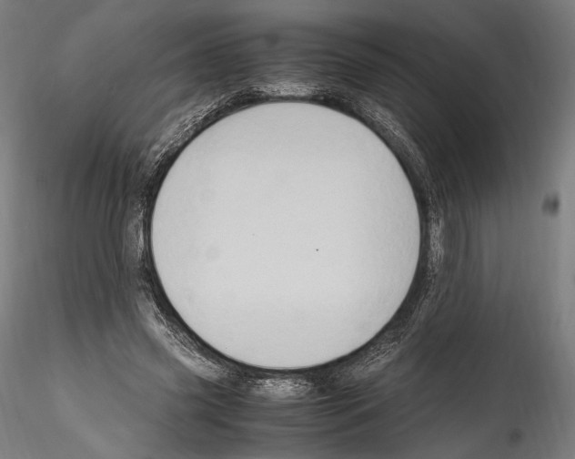 X0000114560541200911301251