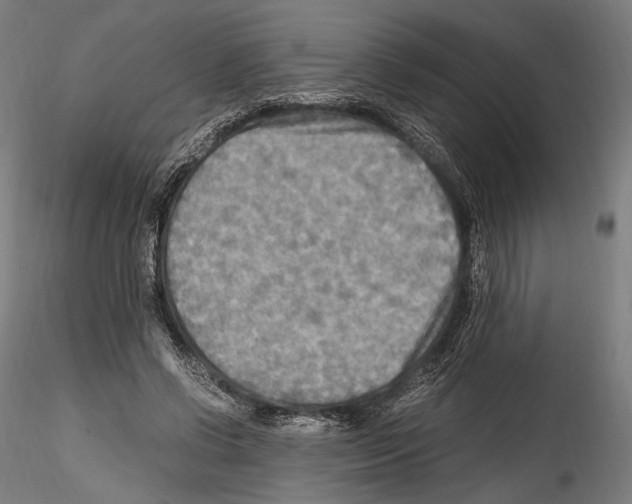 X0000114560542200911301251